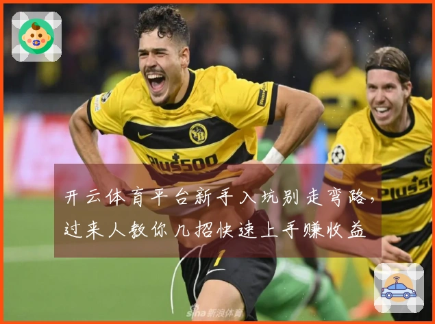 开云体育平台新手入坑别走弯路，过来人教你几招快速上手赚收益